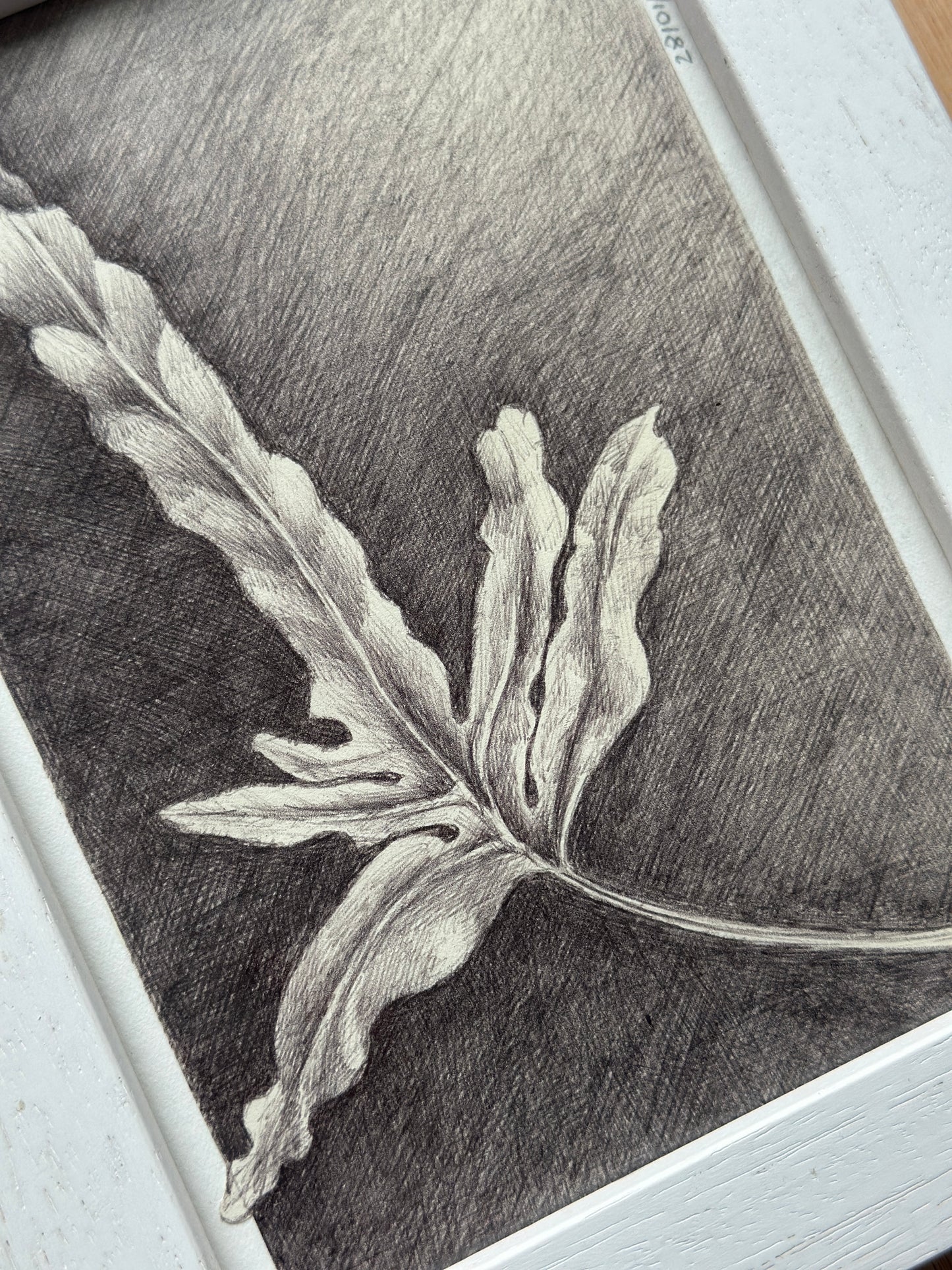 No 3 / FRAMED / 19x24cm