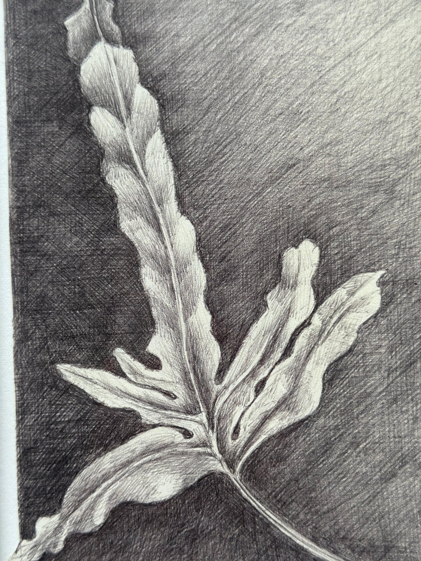 No 3 / FRAMED / 19x24cm