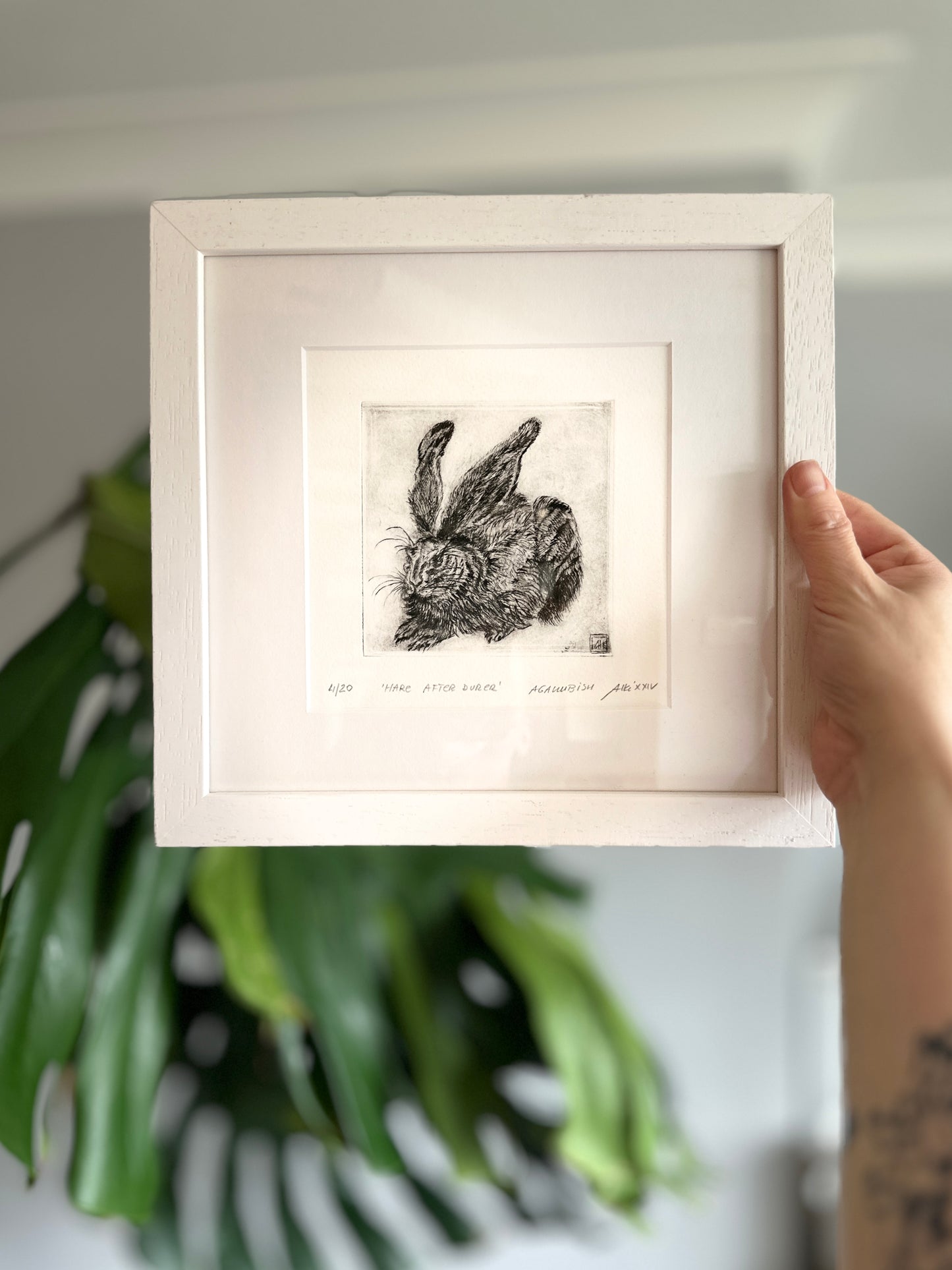 Hare after Durer / FRAMED / 25x26cm