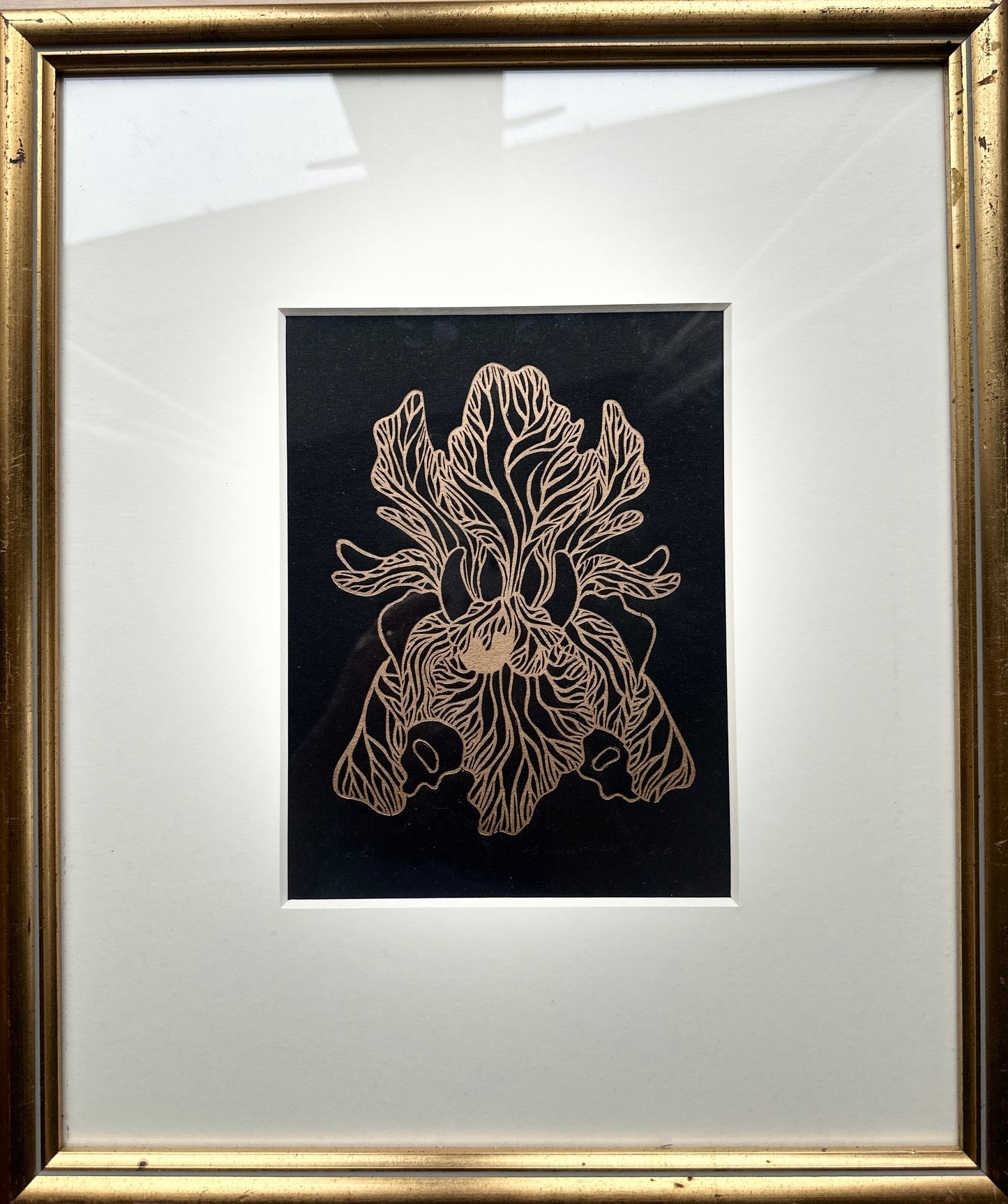 Golden Iris / FRAMED / 39x47cm