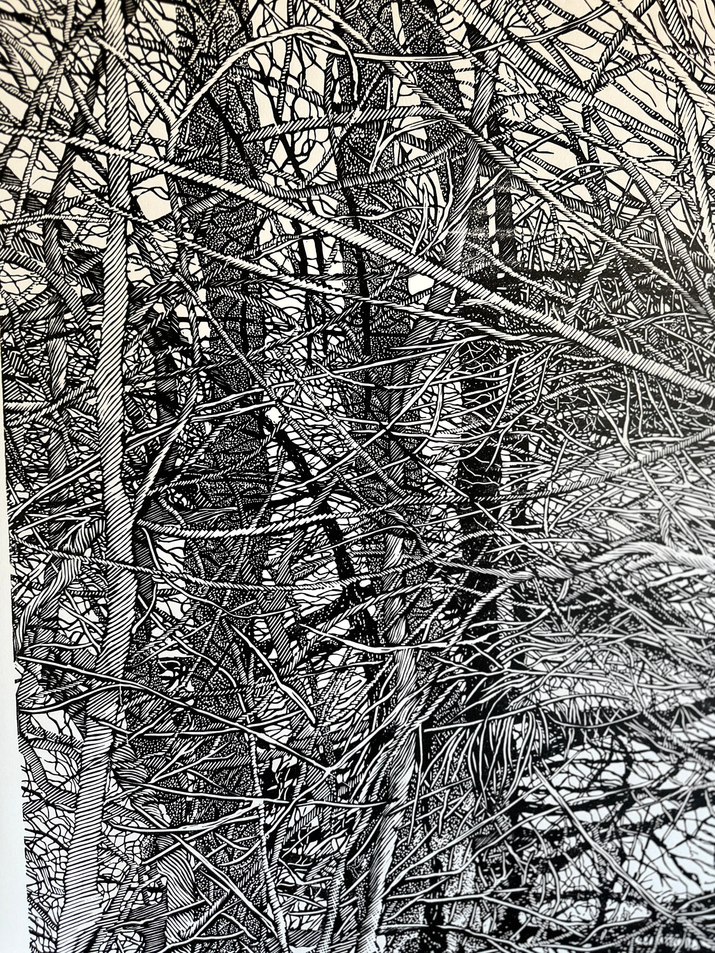 The Shelter  / 160x110 cm