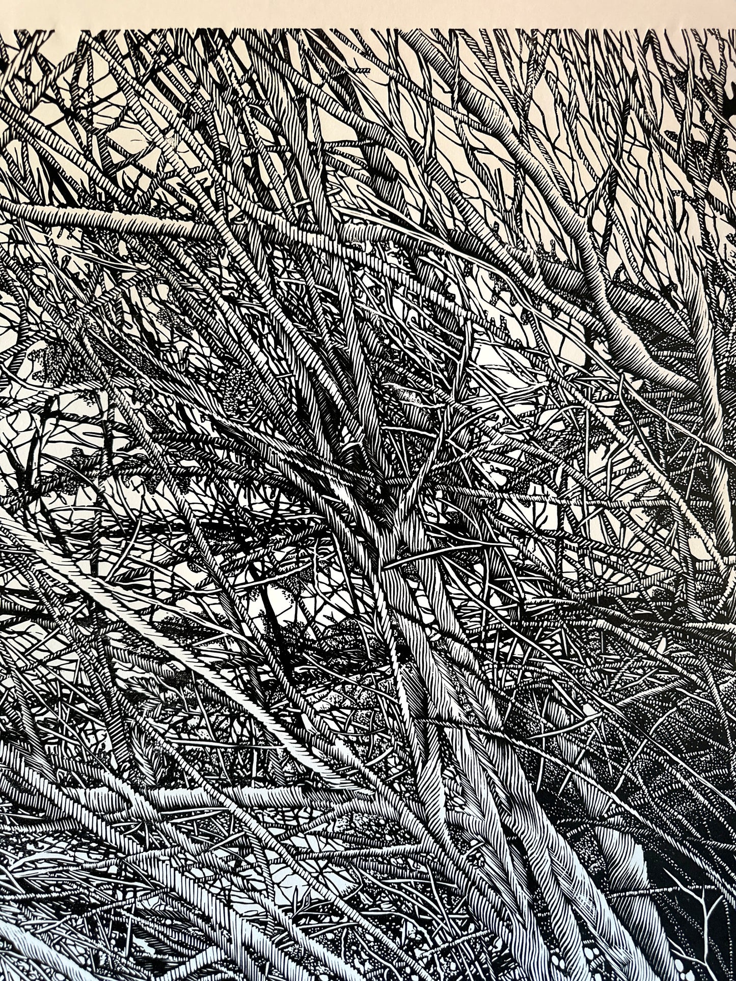 The Shelter  / 160x110 cm