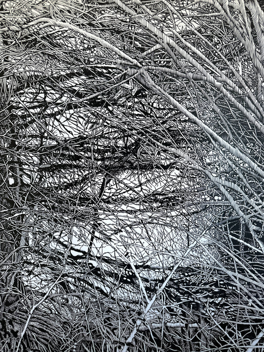 The Shelter  / 160x110 cm