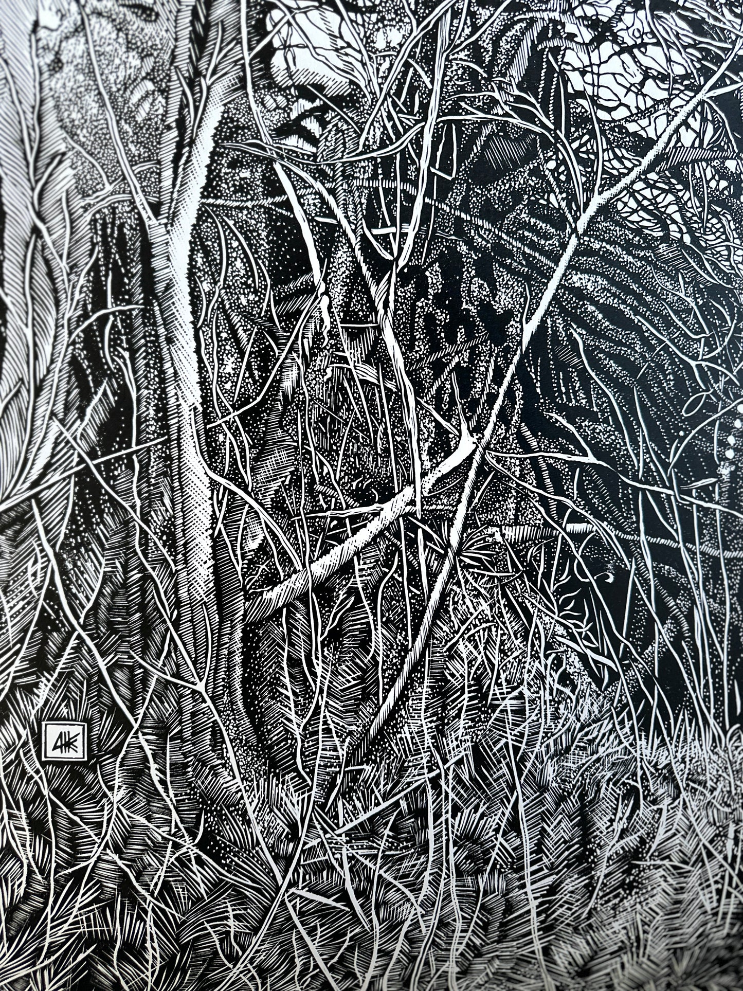 The Shelter  / 160x110 cm