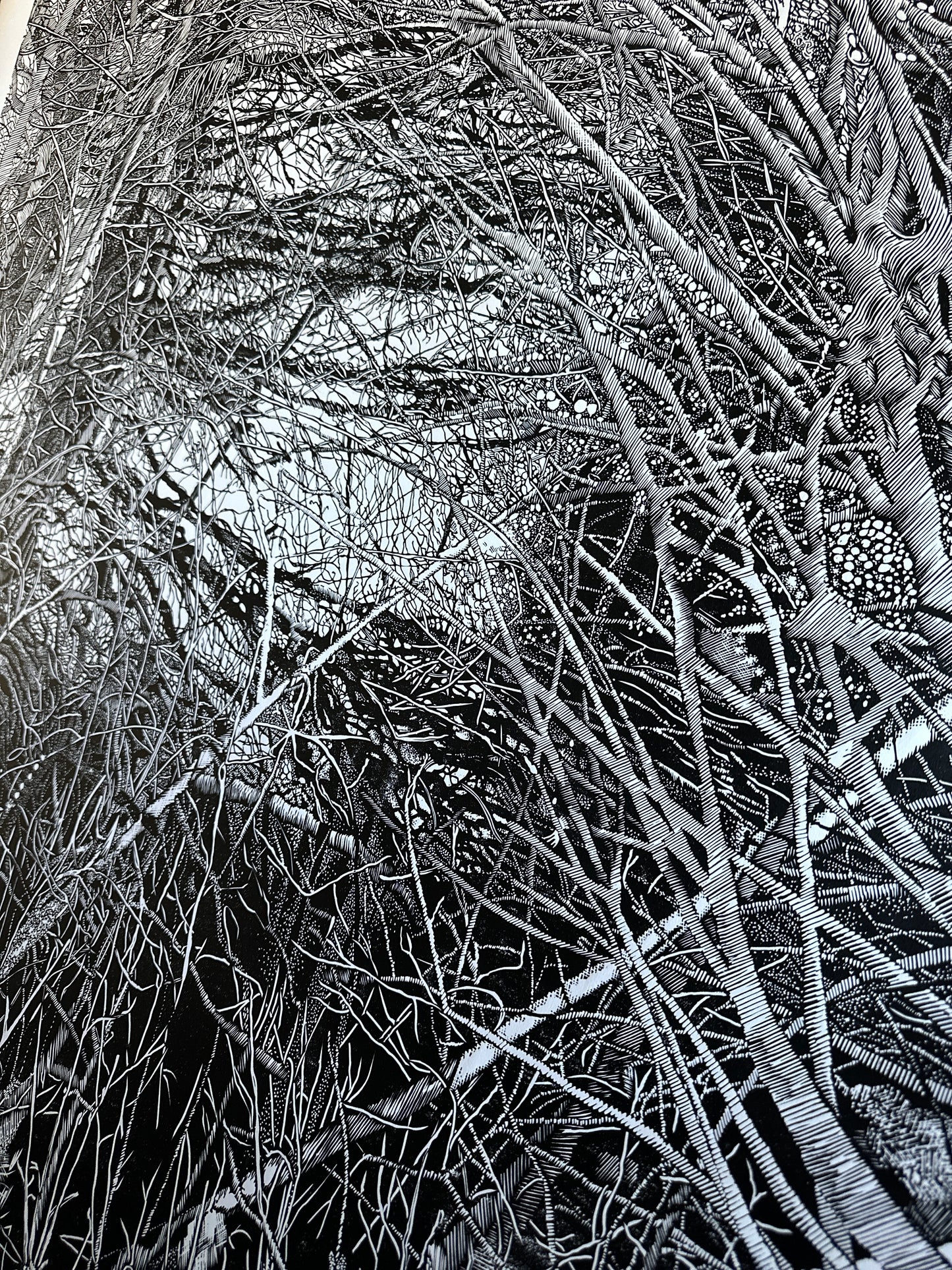 The Shelter  / 160x110 cm