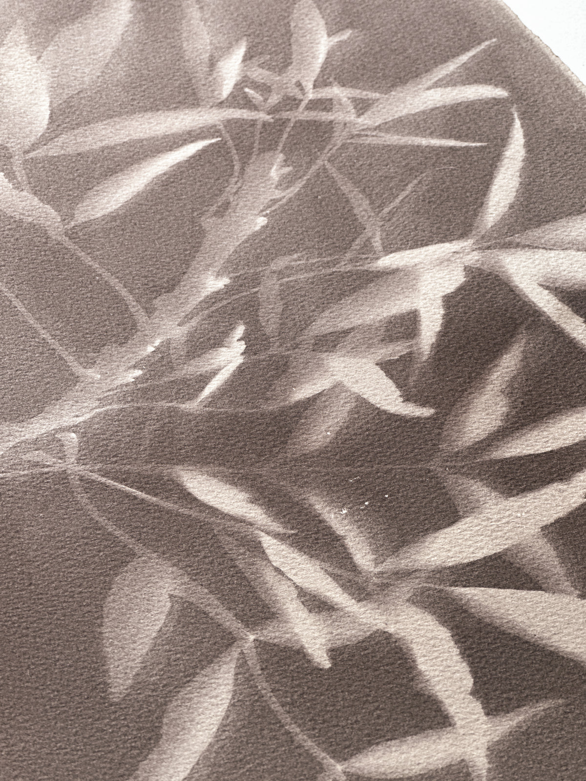 Behind the Leaves / 37x28cm
