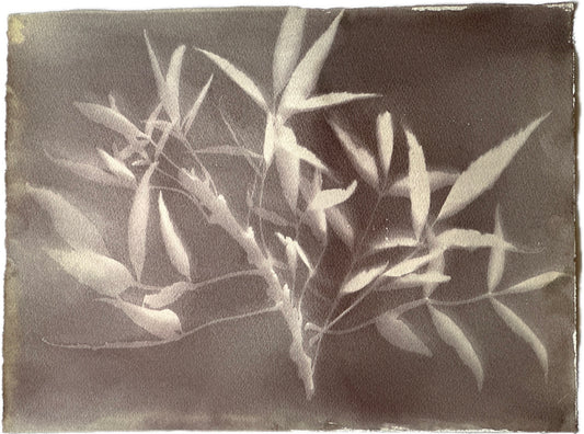 Behind the Leaves / 37x28cm