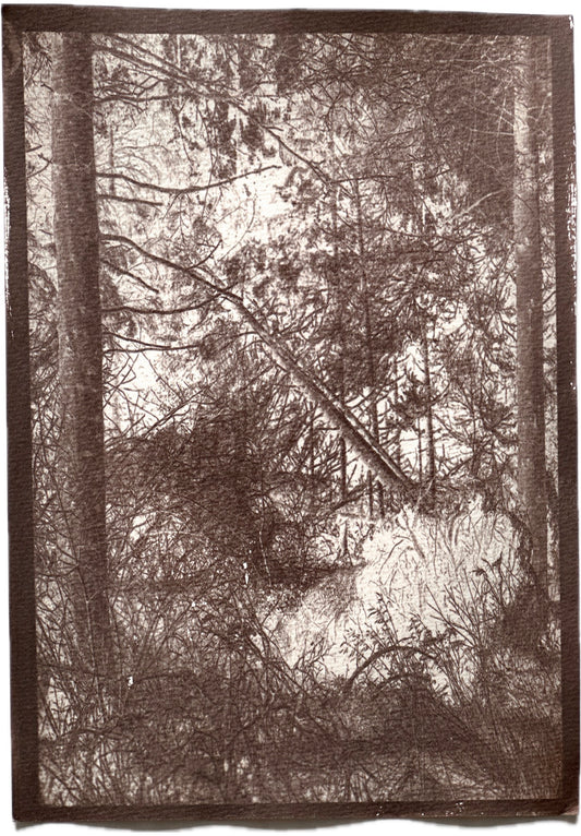 Forest / 21x30cm