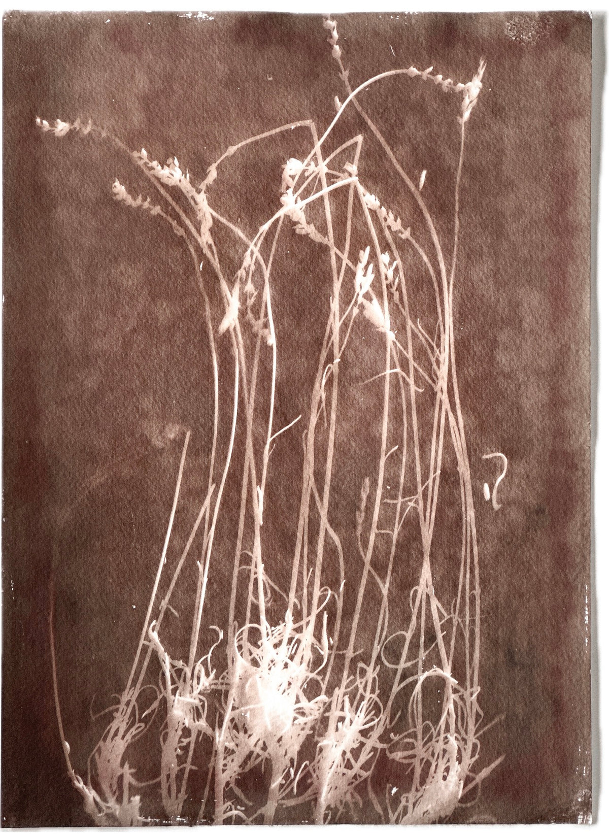 Community / 22x30cm