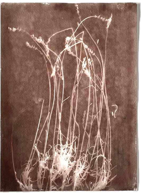 Community / 22x30cm