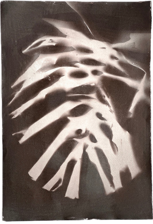 Monstera Leaf / 38x54cm