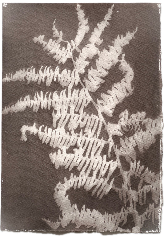 Fern / 19x27cm