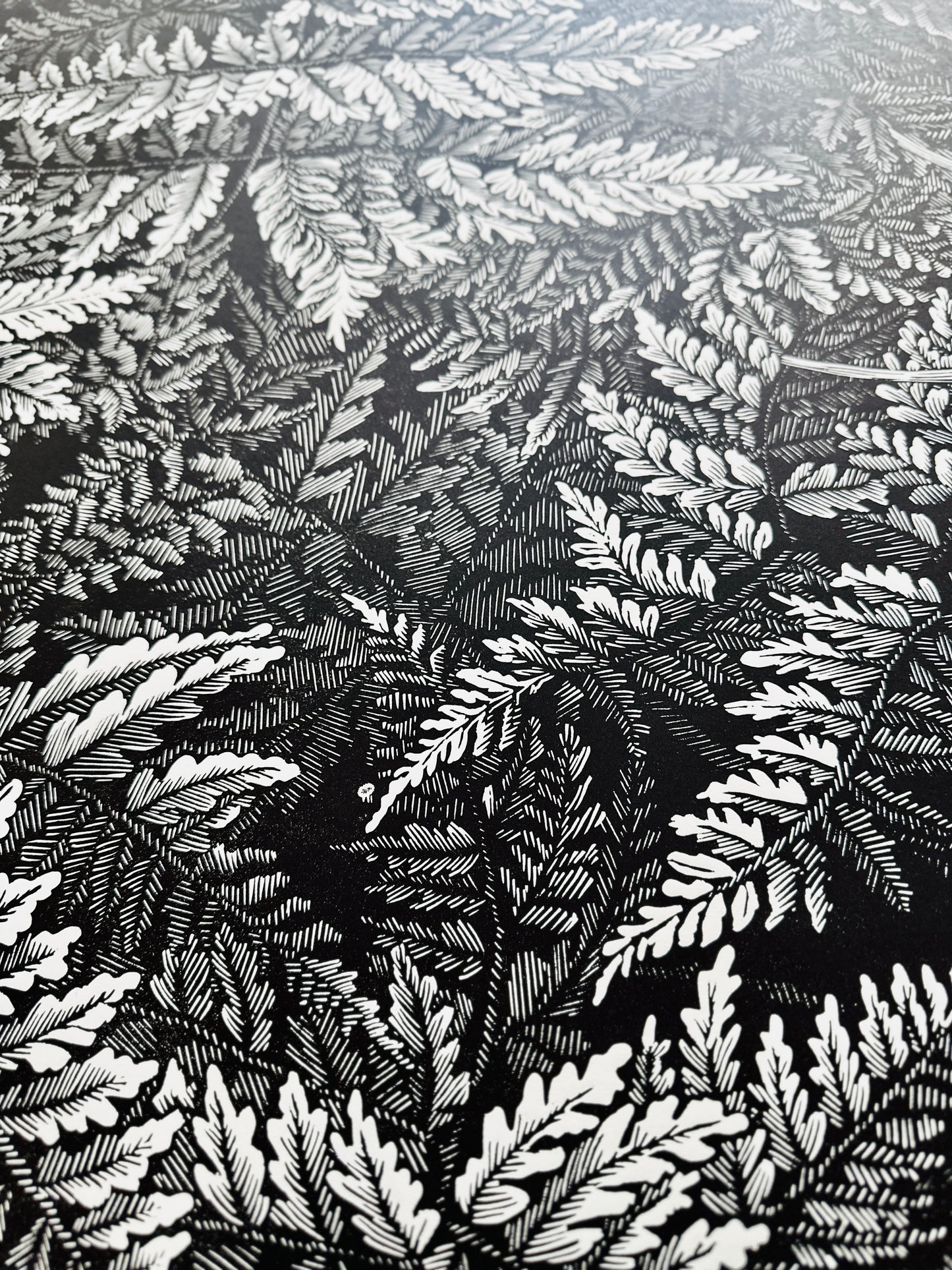 Ferns / 76x56 cm