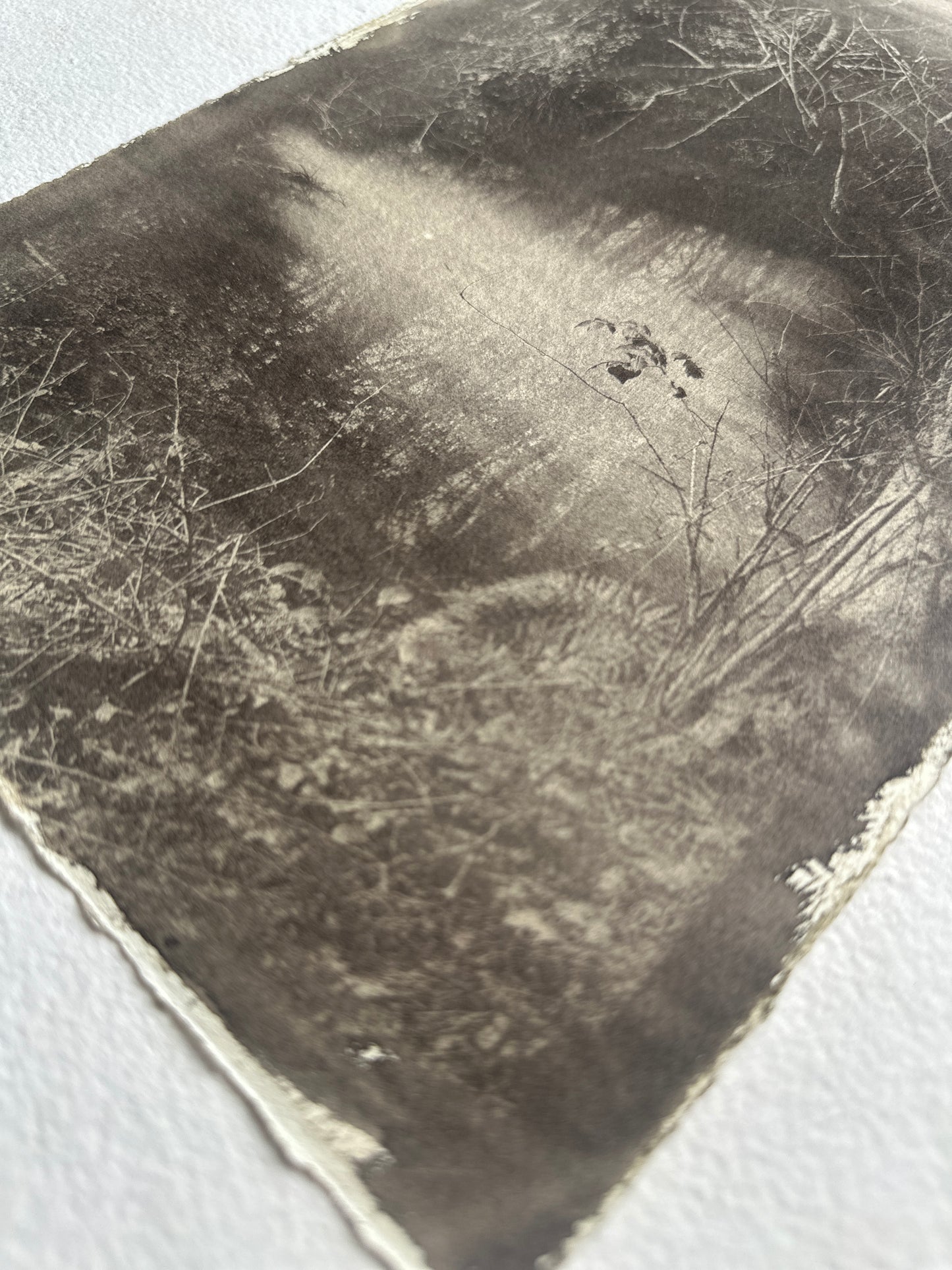 Still Water / Van Dyke Brown Print / 20x28 cm