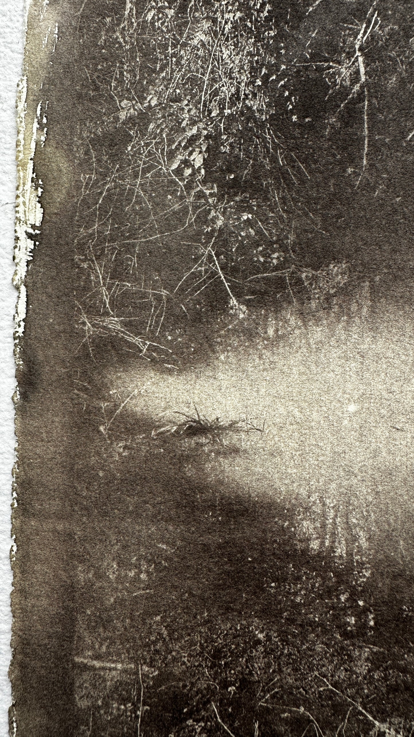 Still Water / Van Dyke Brown Print / 20x28 cm