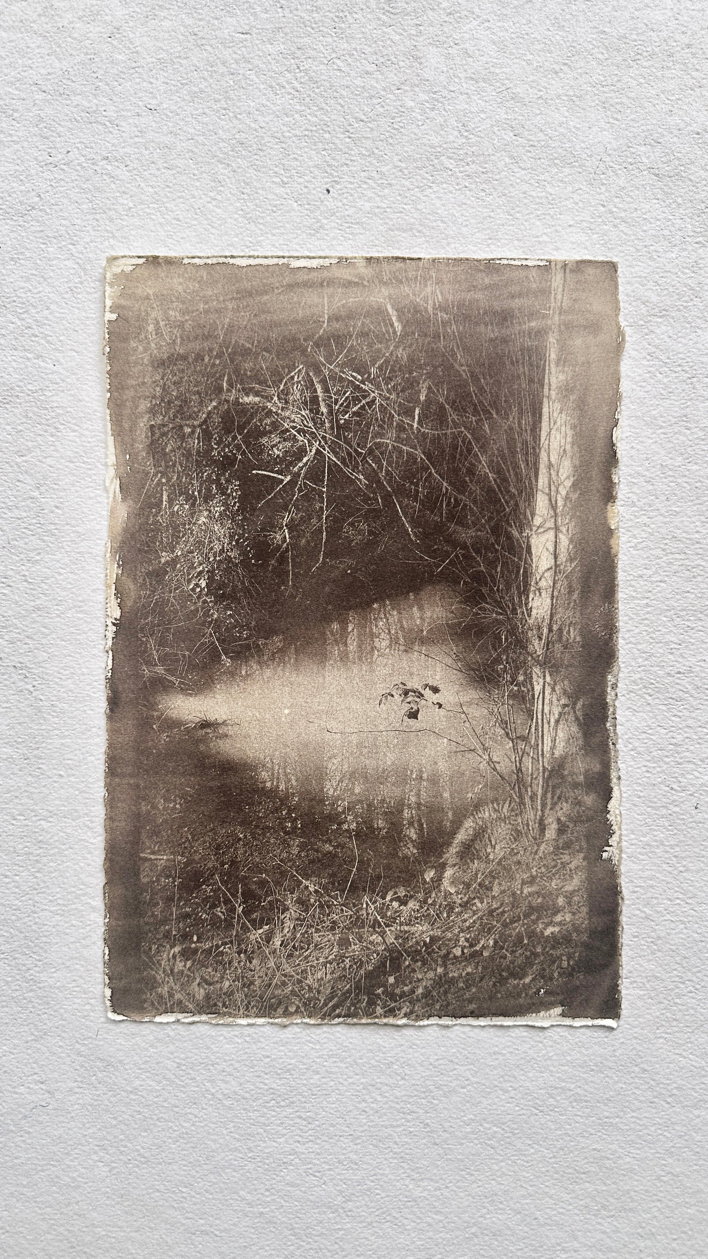 Still Water / Van Dyke Brown Print / 20x28 cm
