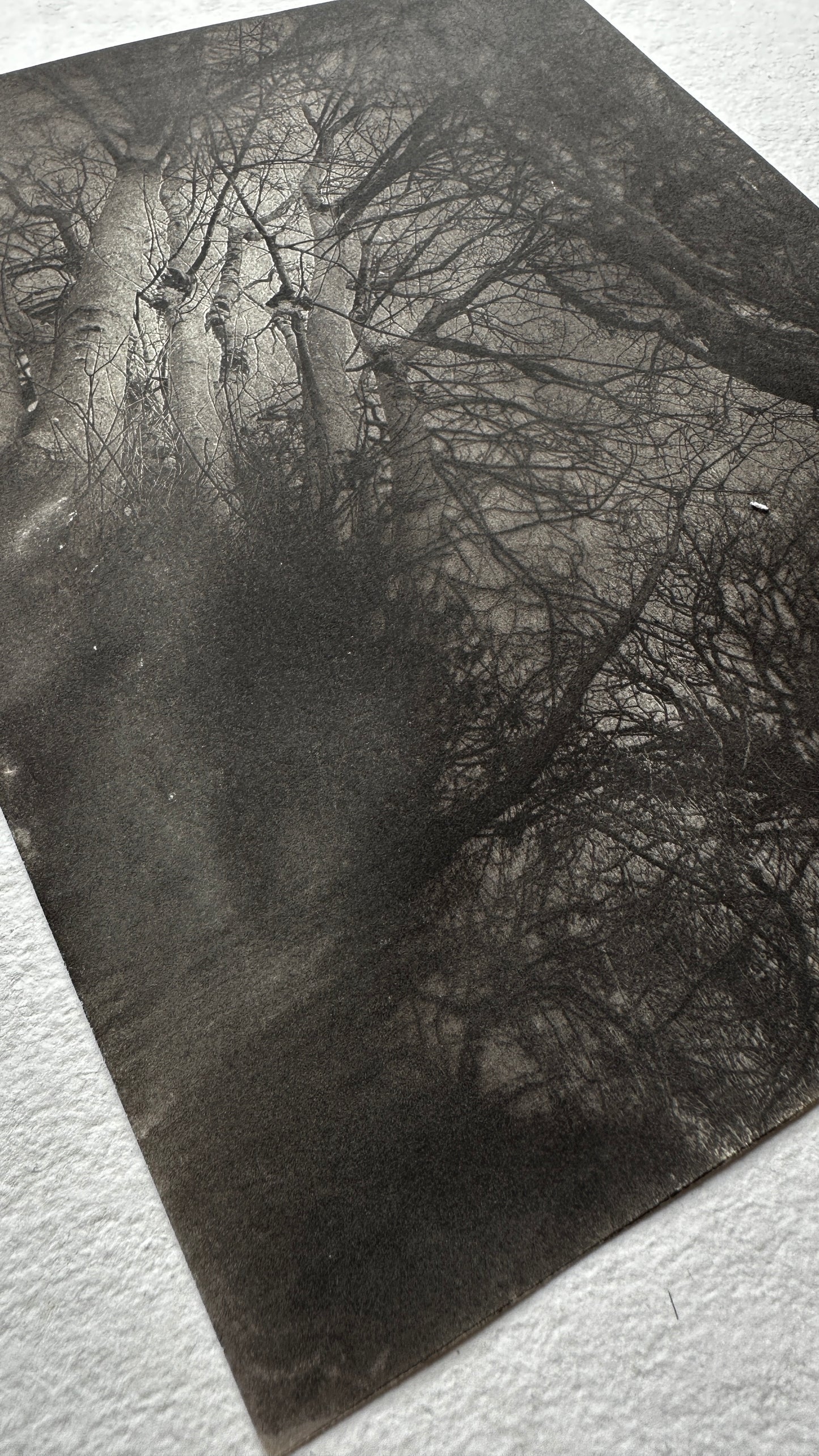 Convergence / Van Dyke Brown Print / 20x25 cm