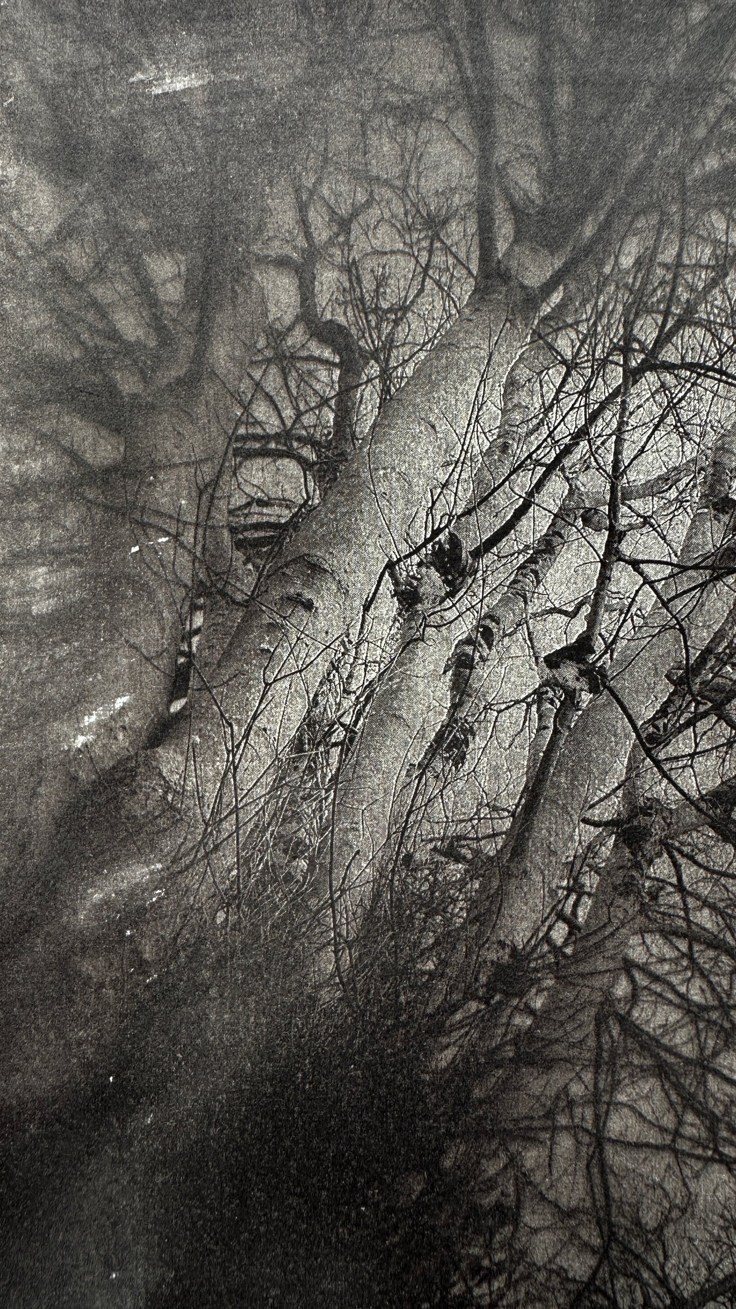 Convergence / Van Dyke Brown Print / 20x25 cm