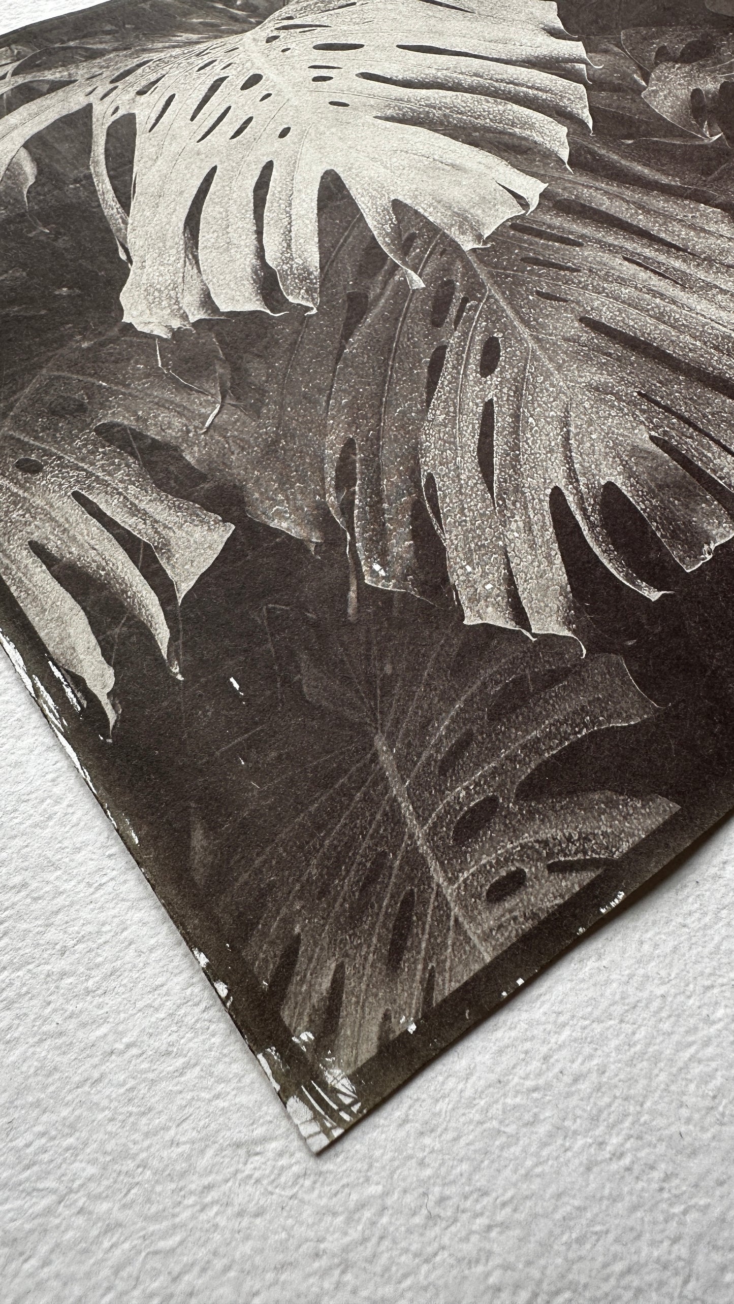 Canopy / Van Dyke Brown Print / 29x20 cm