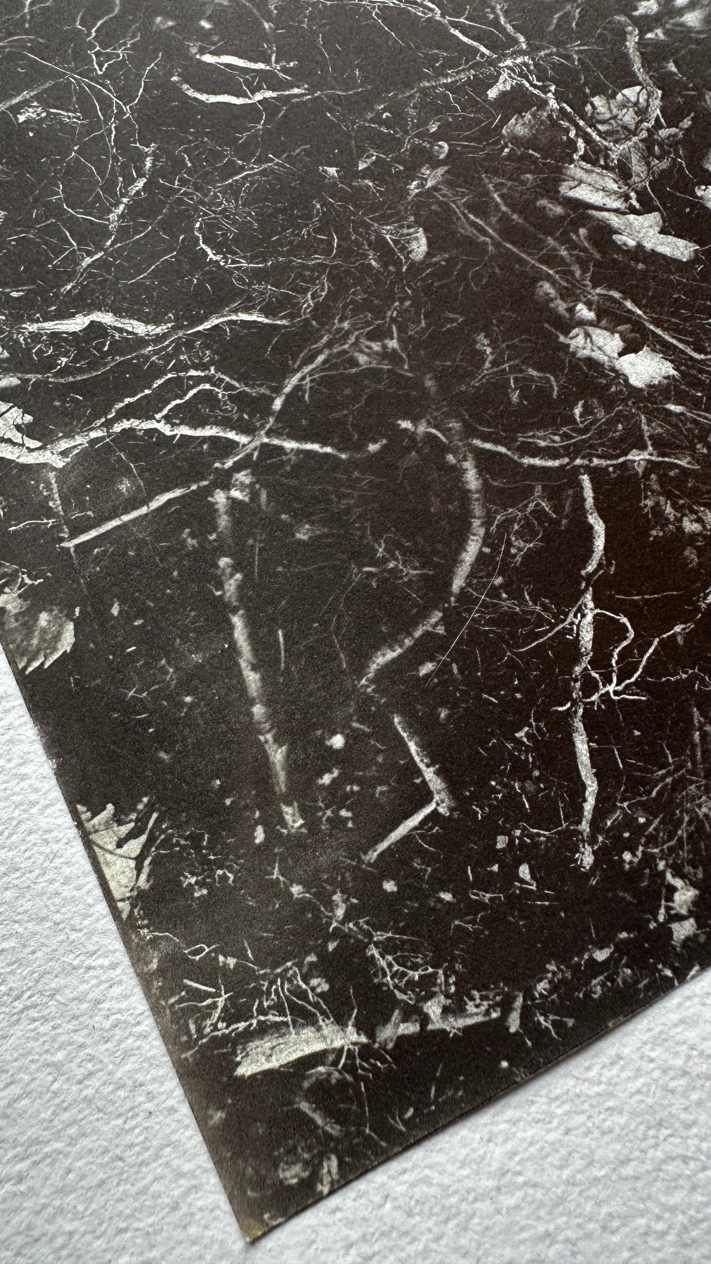 Uncovered / Van Dyke Brown Print / 20x25 cm
