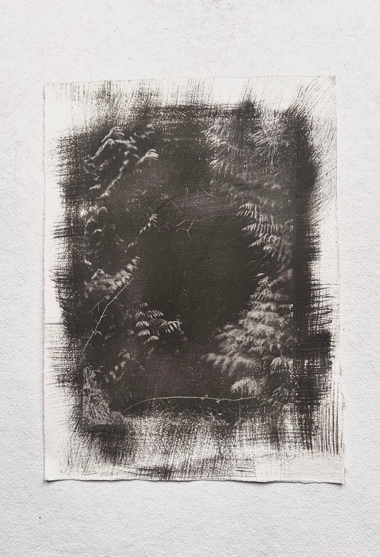 Fern Threshold / Van Dyke Brown Print / 28x39 cm