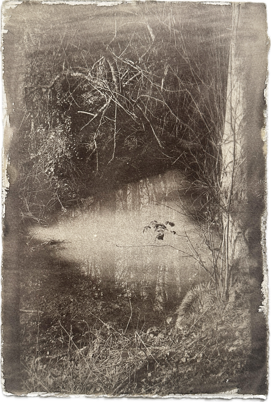 Still Water / Van Dyke Brown Print / 20x28 cm