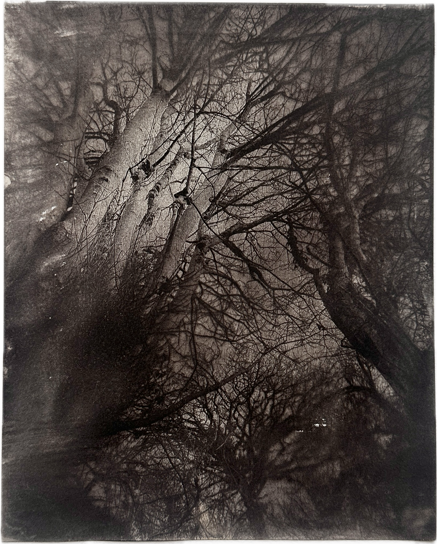 Convergence / Van Dyke Brown Print / 20x25 cm