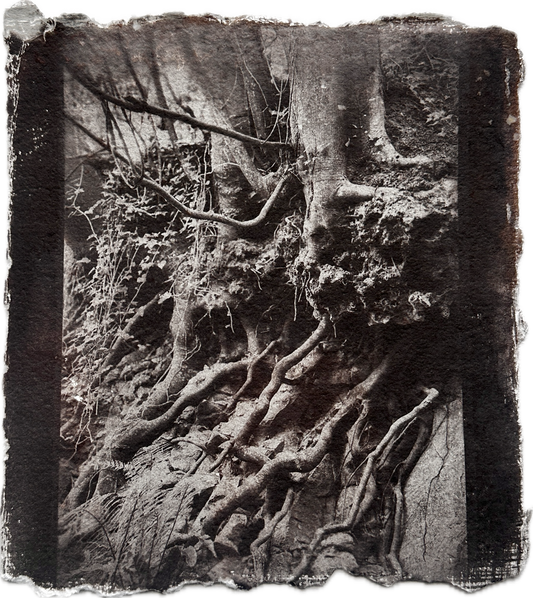 Anchored / Van Dyke Brown Print / 28x28 cm