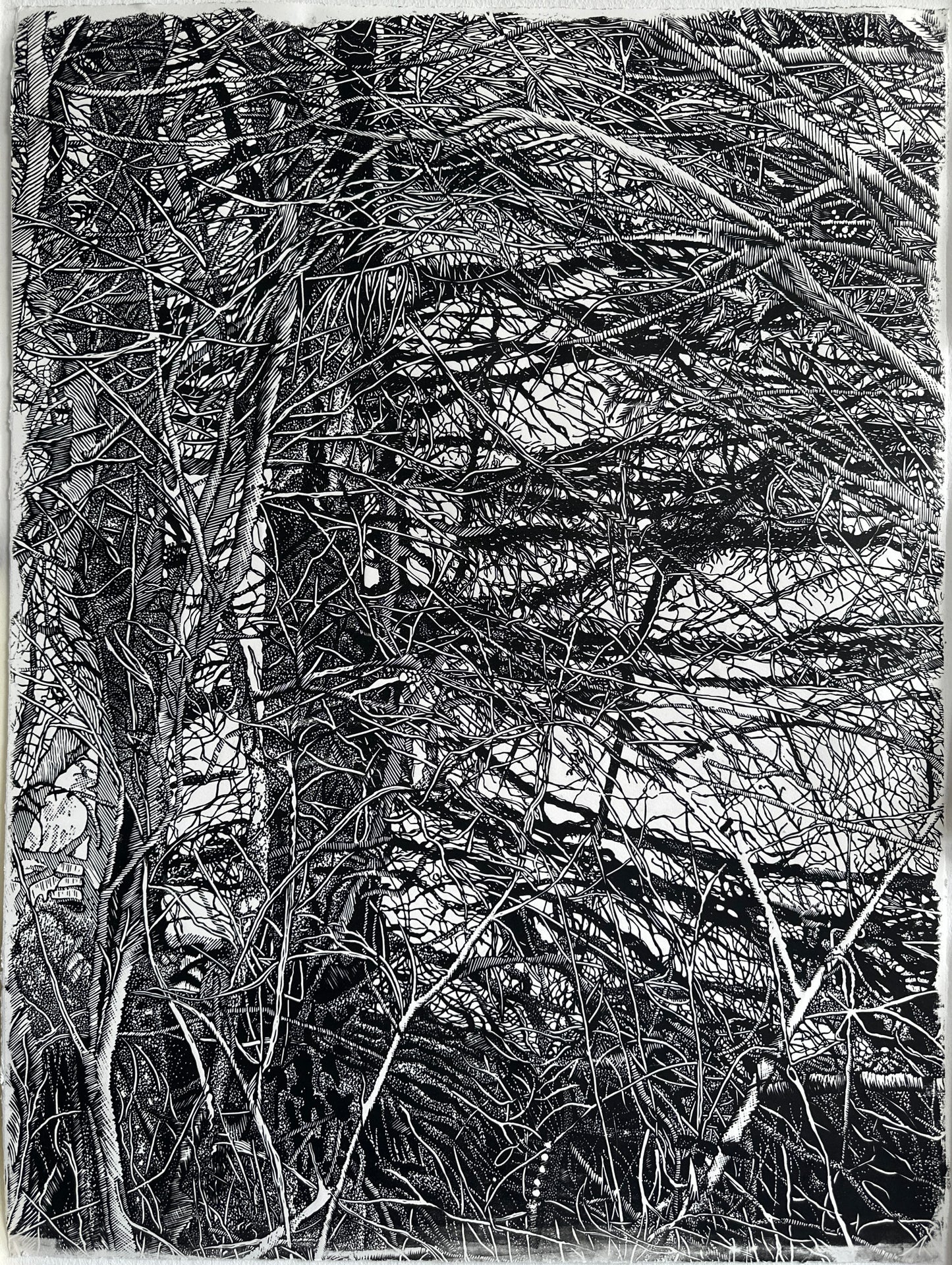 The Shelter / FRAGMENT / 56x76 cm