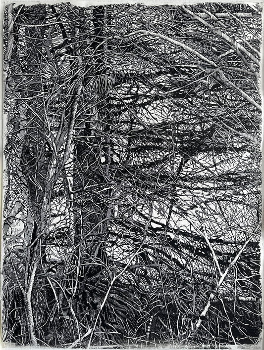 The Shelter / FRAGMENT / 56x76 cm