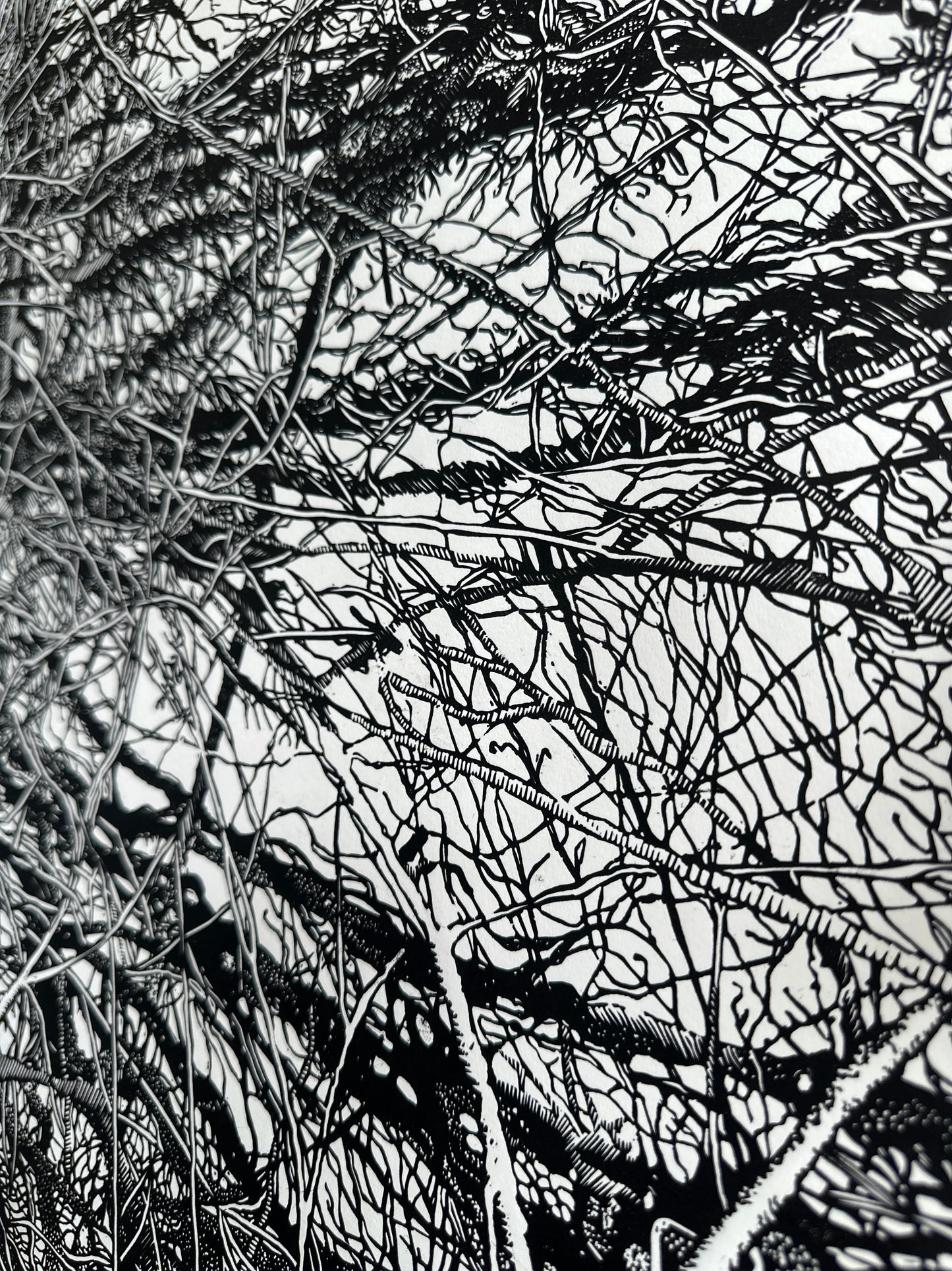 The Shelter / FRAGMENT / 56x76 cm