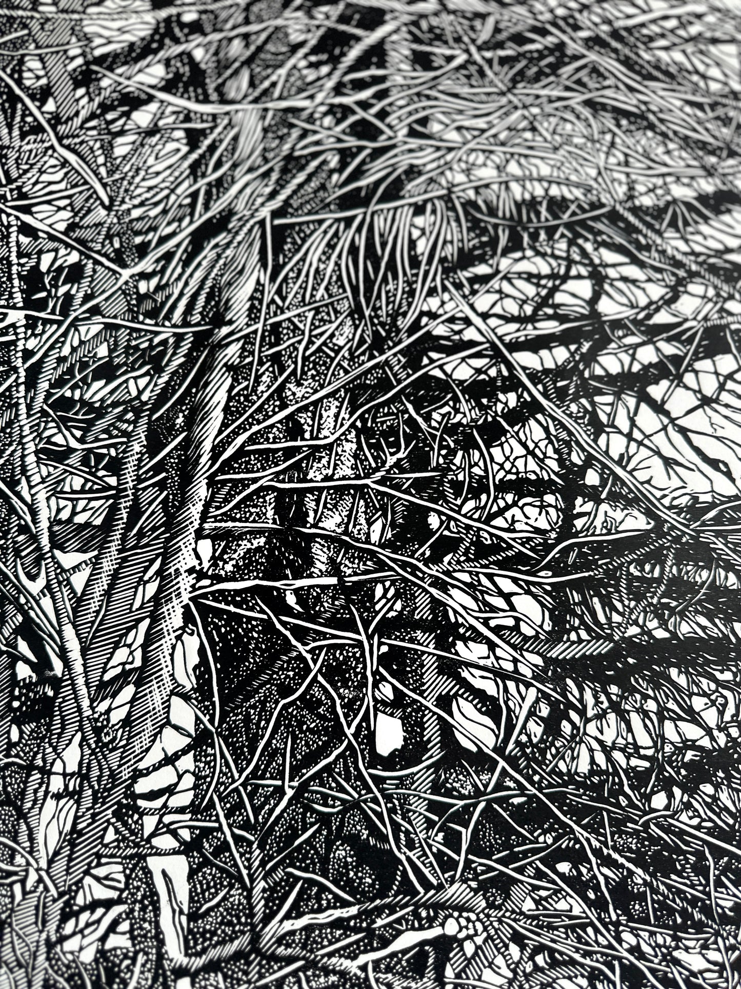 The Shelter / FRAGMENT / 56x76 cm