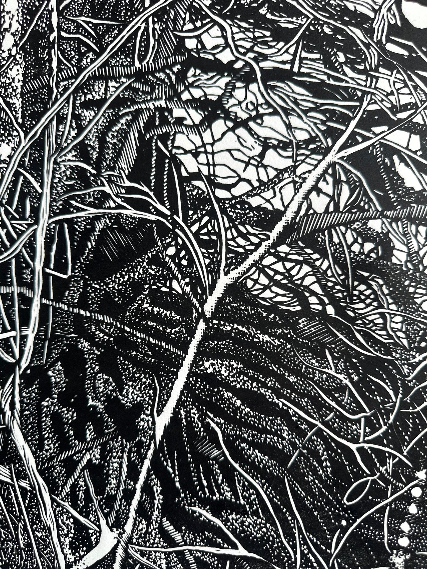 The Shelter / FRAGMENT / 56x76 cm