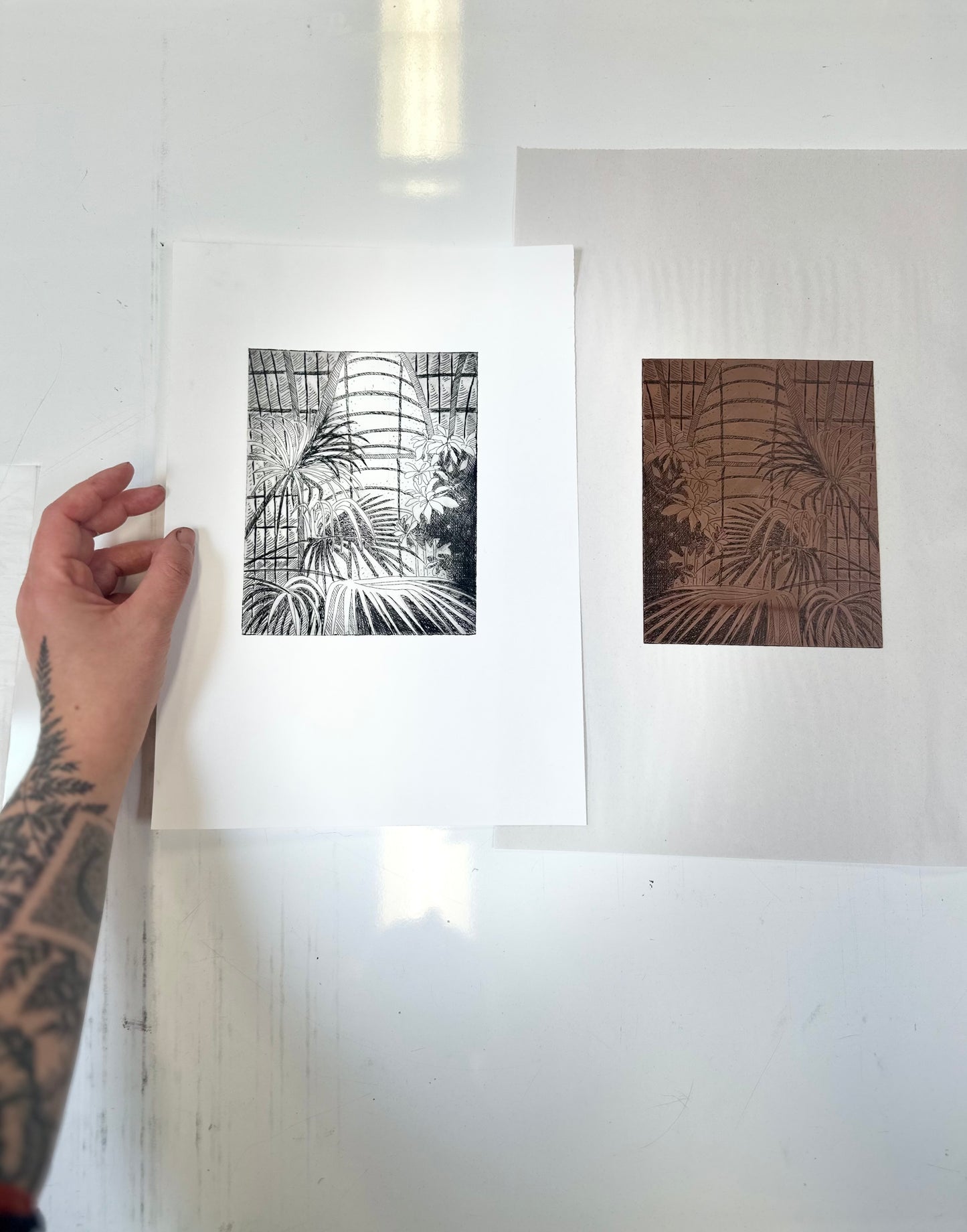 Palm House / Etching / 21x29cm