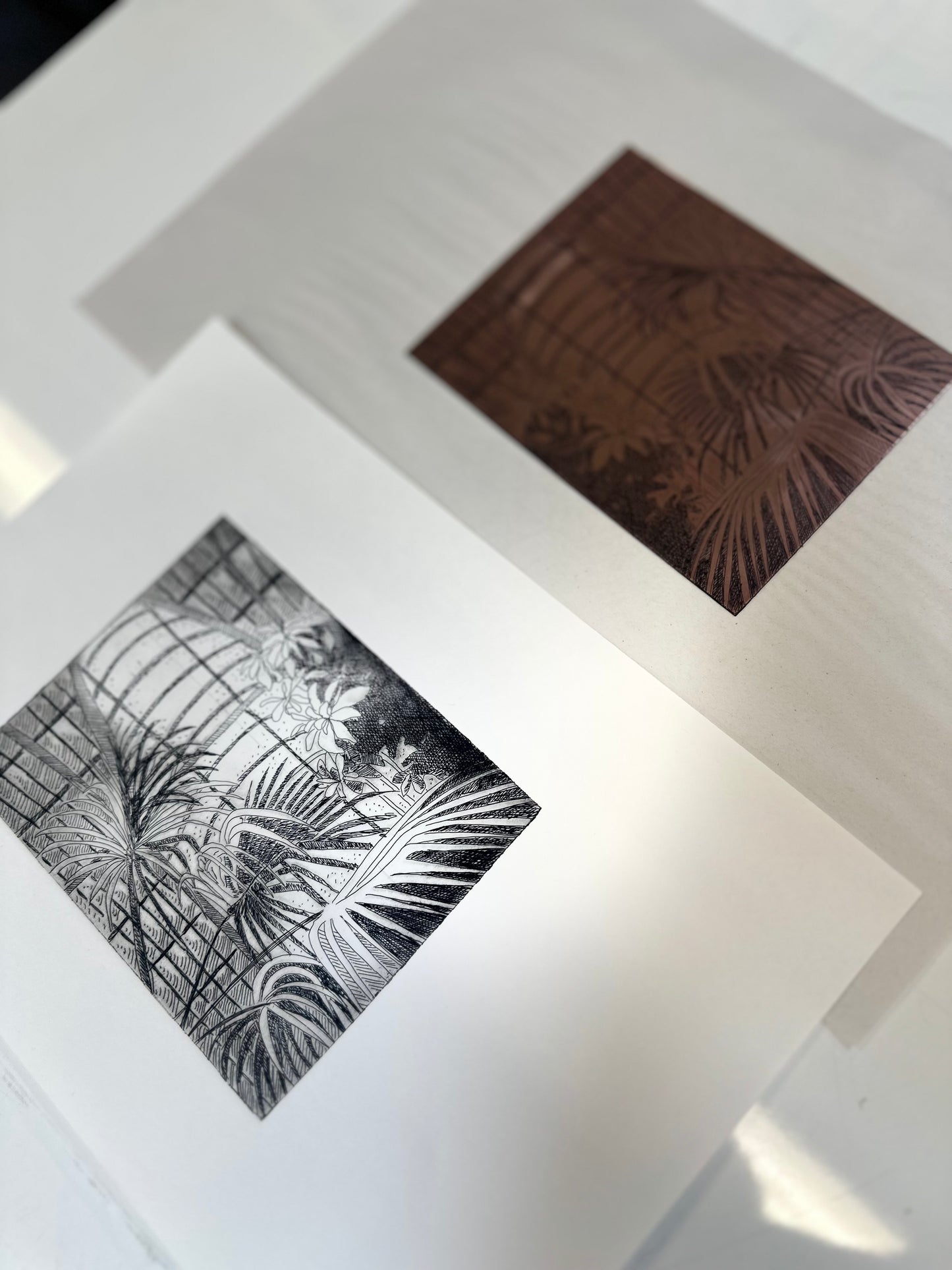 Palm House / Etching / 21x29cm