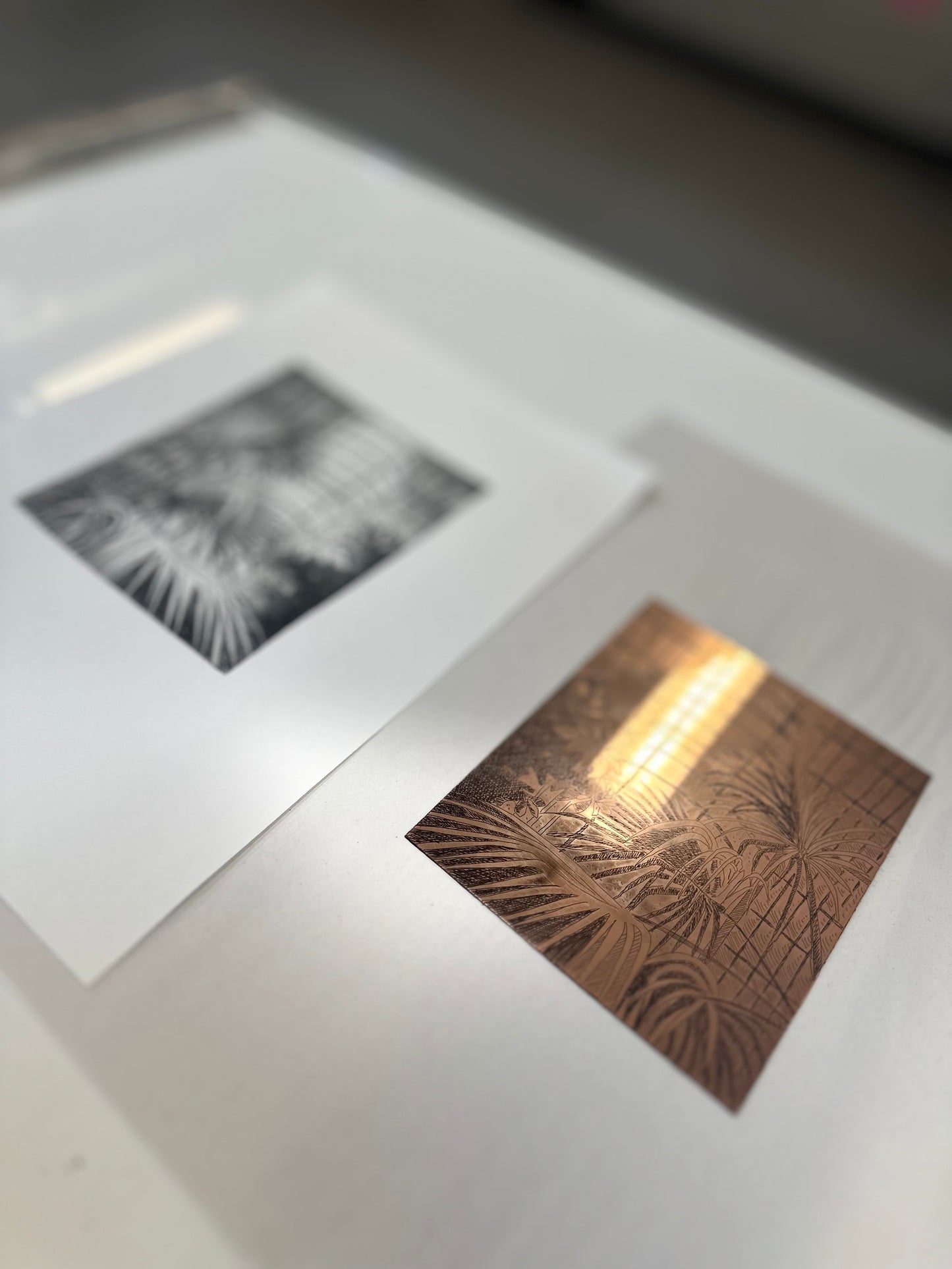 Palm House / Etching / 21x29cm