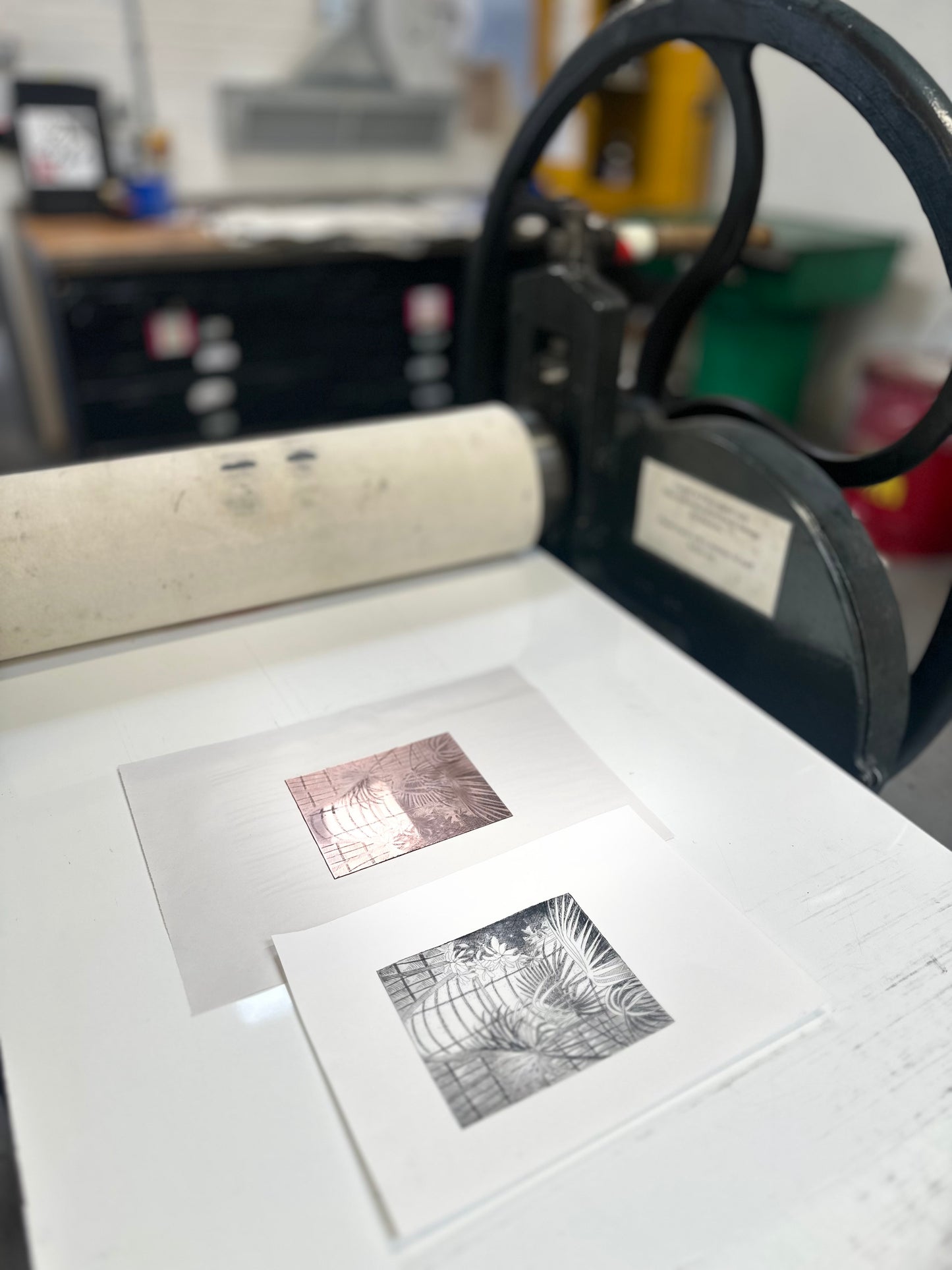 Palm House / Etching / 21x29cm