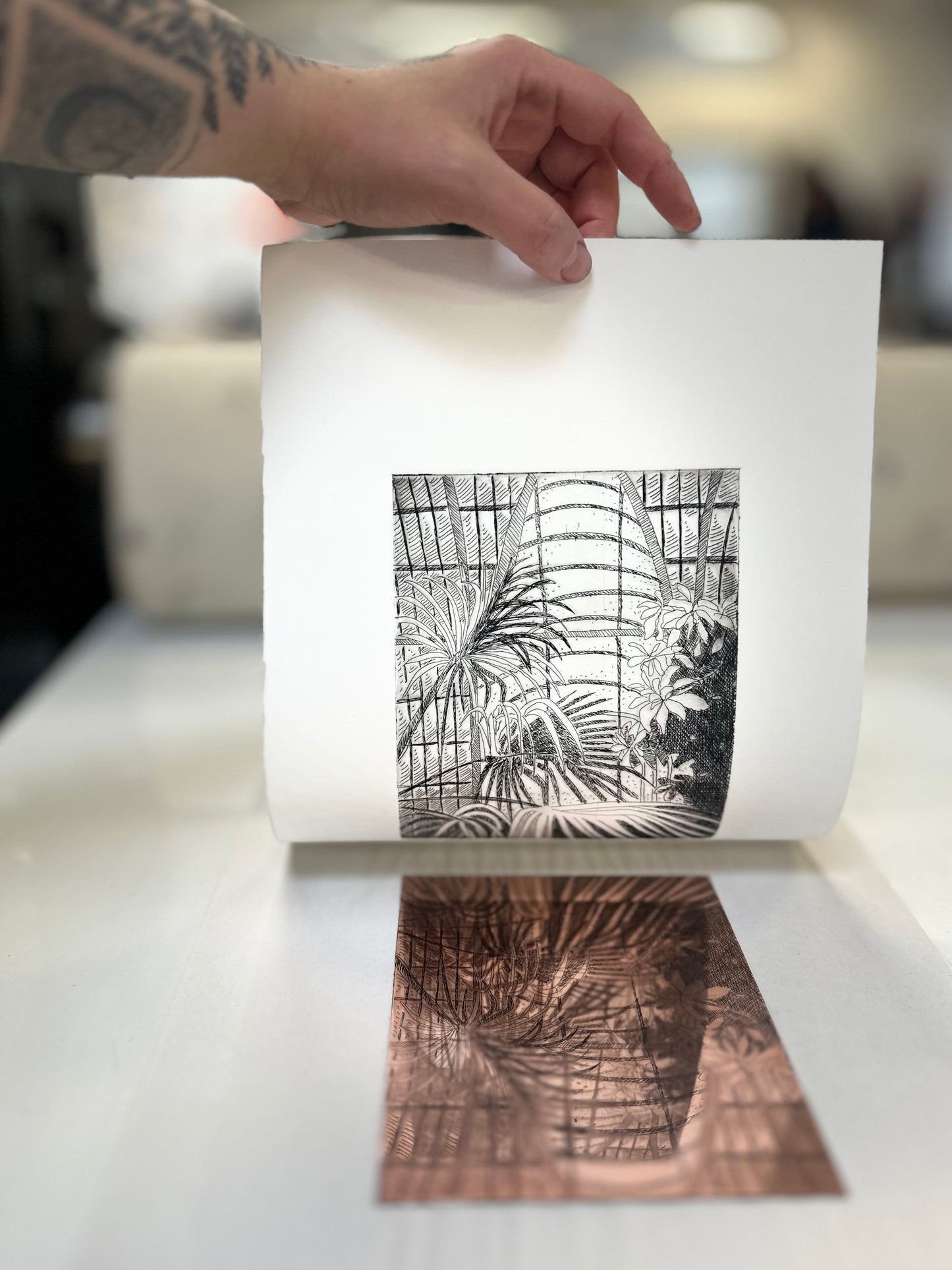 Palm House / Etching / 21x29cm