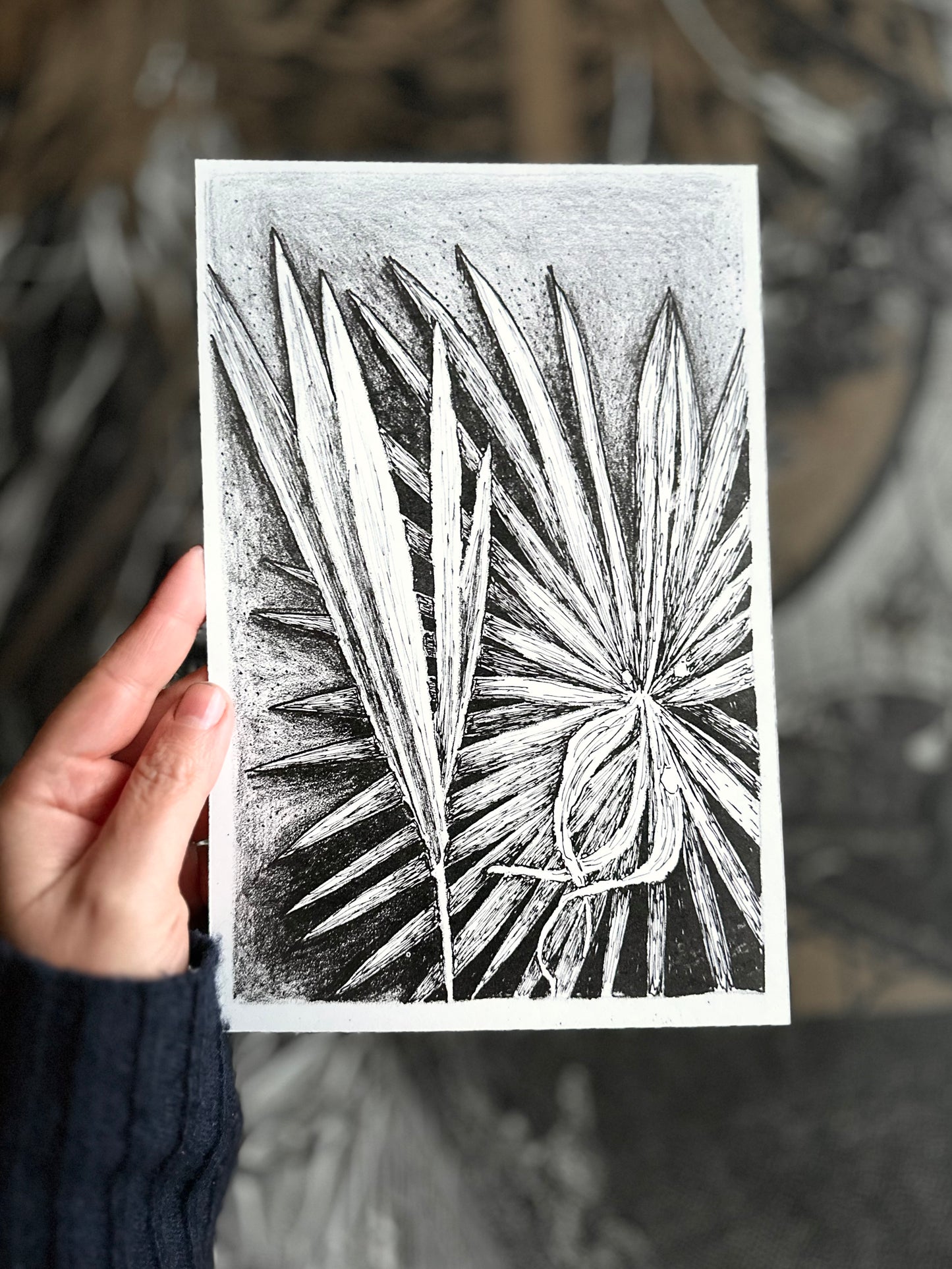 Palm/ Lithography / 17x23 cm