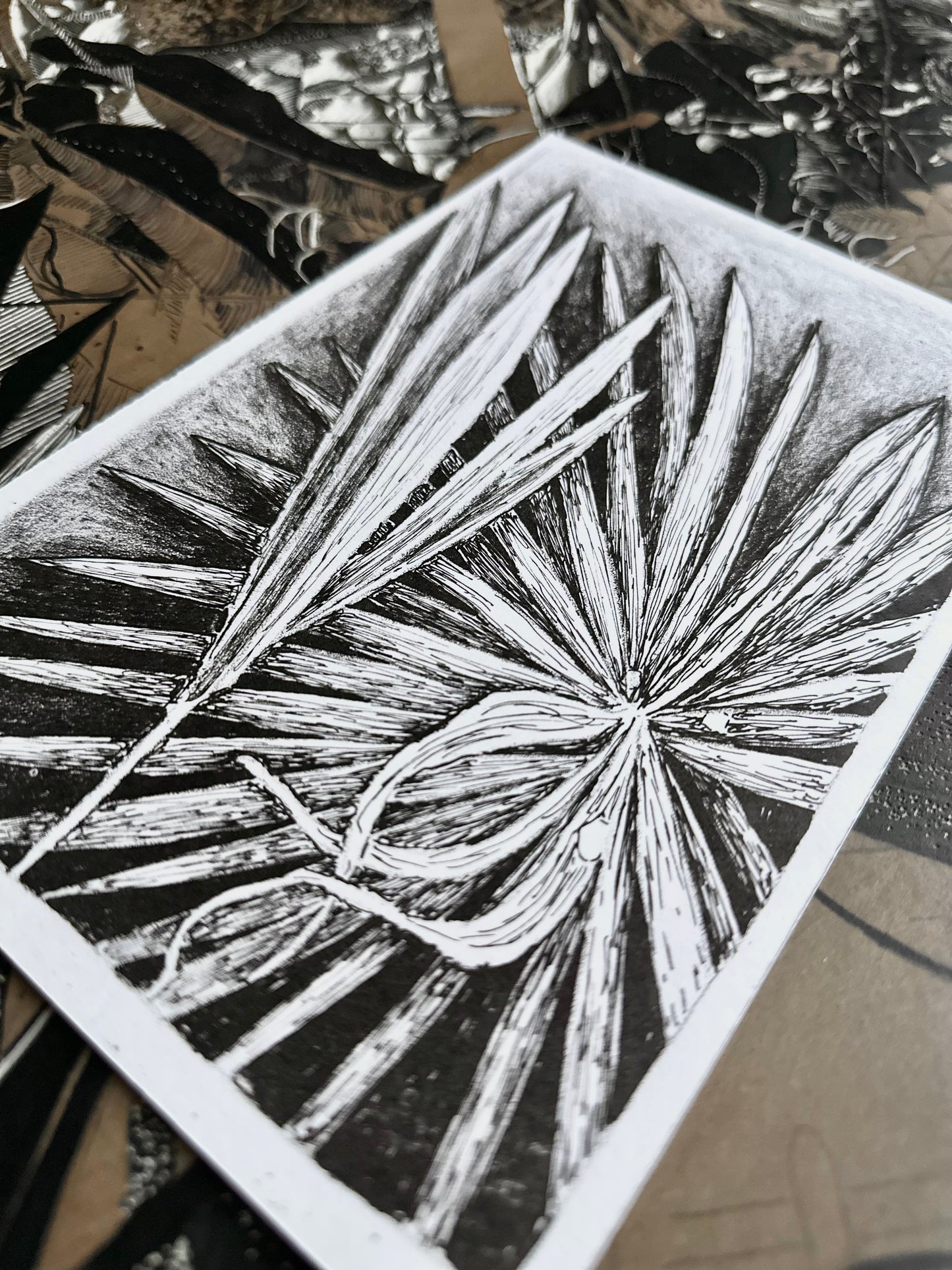 Palm/ Lithography / 17x23 cm