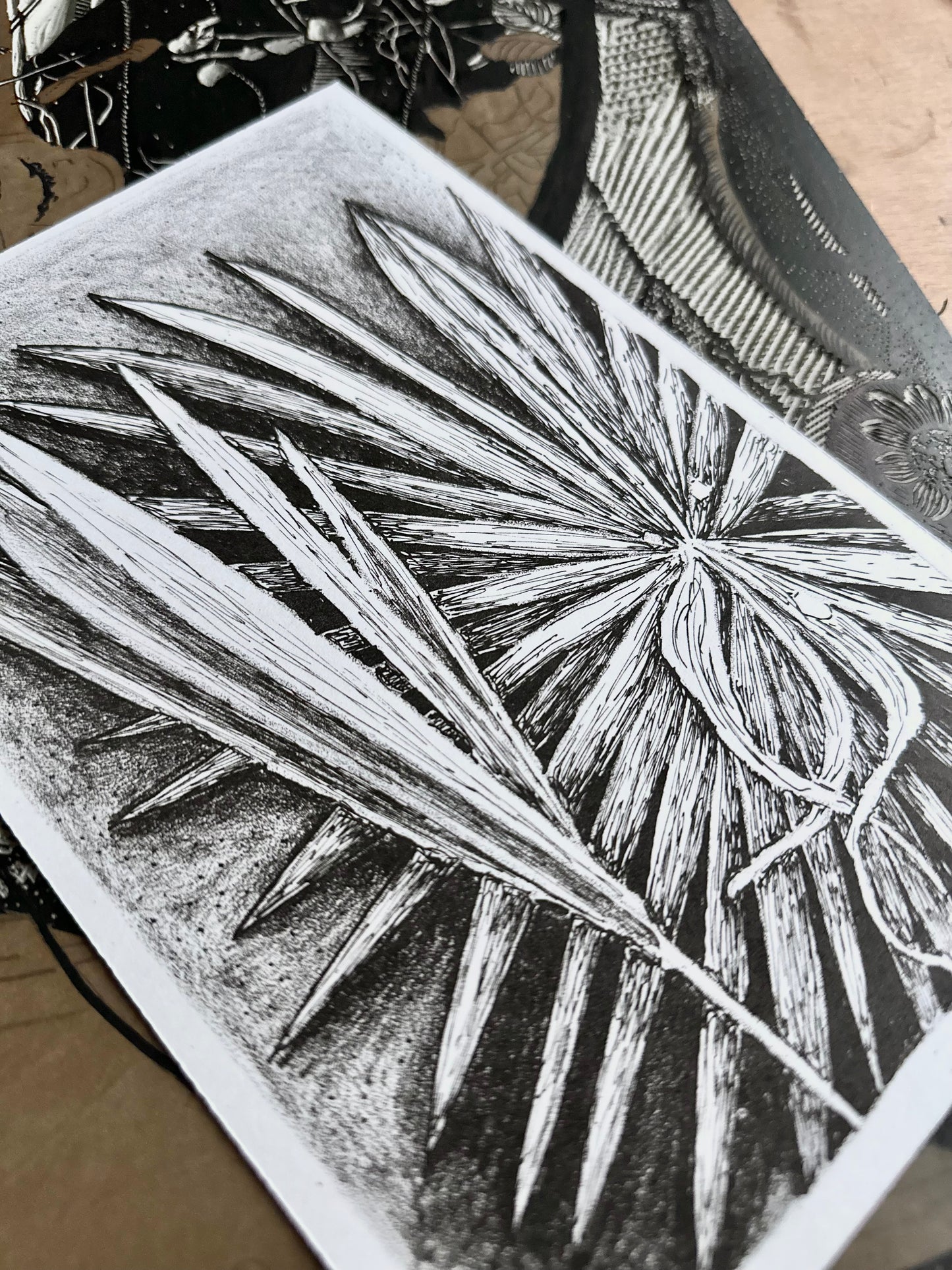 Palm/ Lithography / 17x23 cm