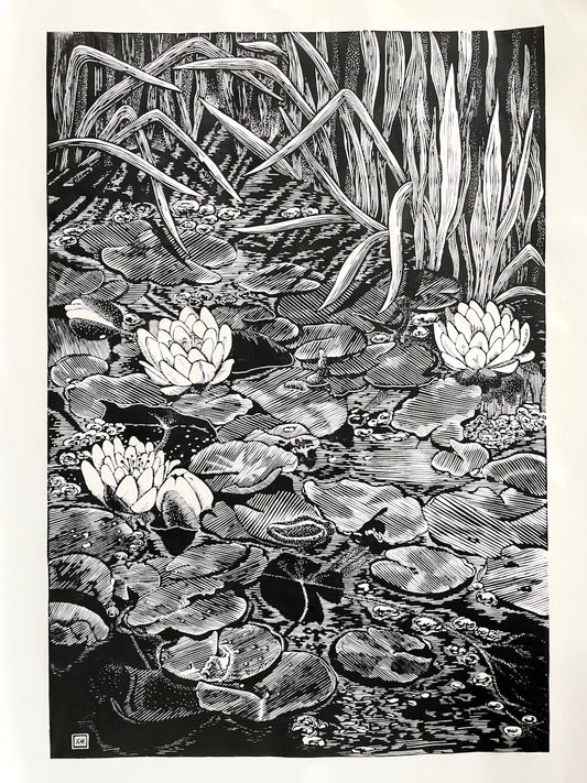 Water Lilies / 76x56cm