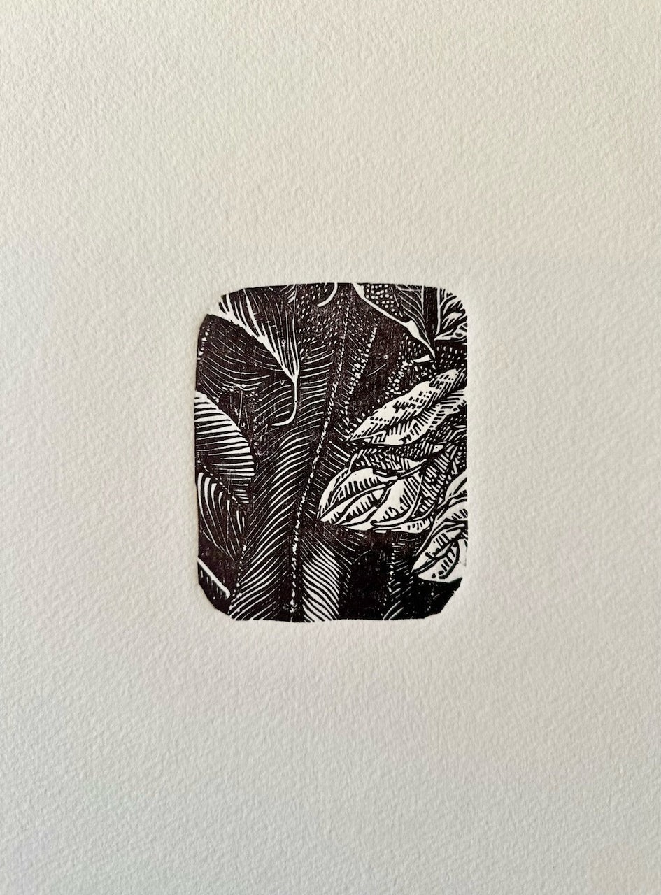 Botanical MINI prints / 20x25 cm