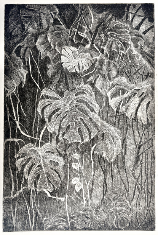 Monstera / Etching / 28x38cm