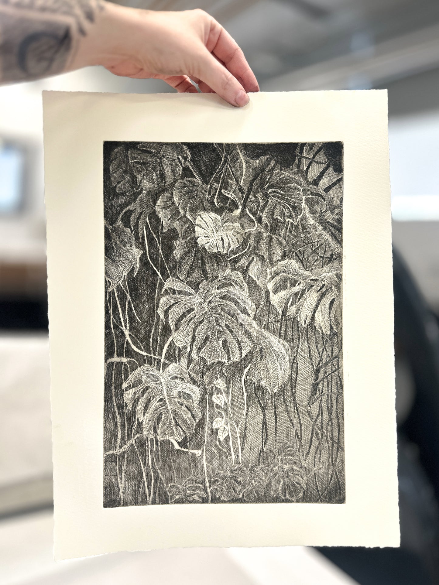 Monstera / Etching / 28x38cm