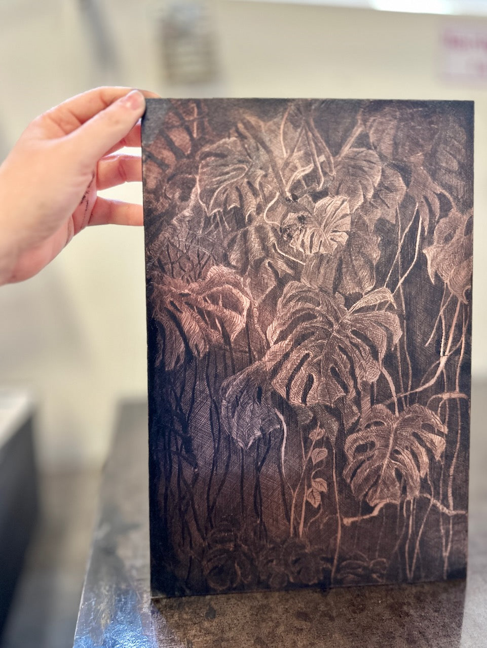 Monstera / Etching / 28x38cm