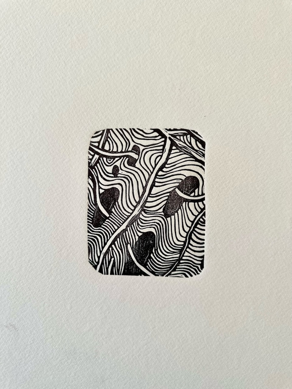 Botanical MINI prints / 20x25 cm