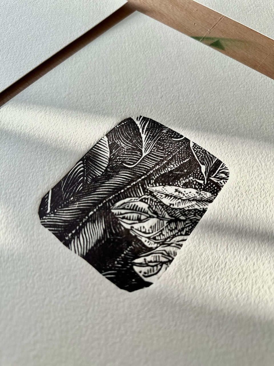 Botanical MINI prints / 20x25 cm