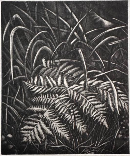 Bright 21x29 cm / MEZZOTINT Etching