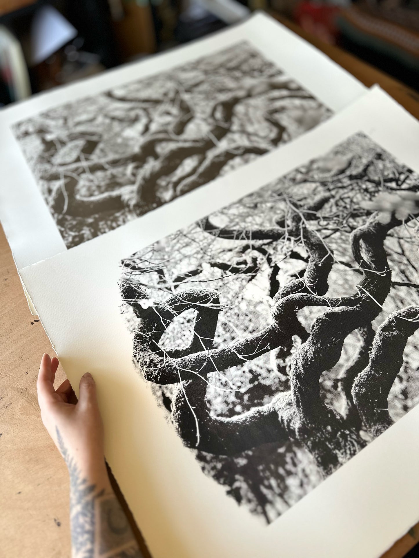 Echos I / Screen Print / 56x76cm